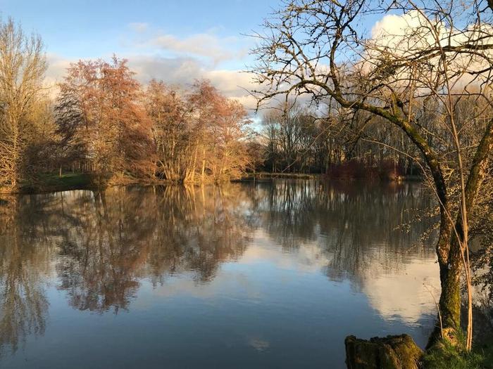 Domaine de la Forgeneuve