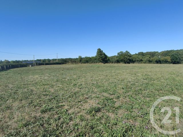 maison à louer - 5 pièces - 93.57 m2 - VALIGNY - 03 - AUVERGNE - Century 21 Confluences