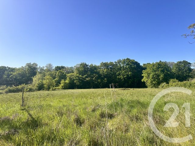 maison à vendre - 7 pièces - 180.0 m2 - CUFFY - 18 - CENTRE - Century 21 Confluences